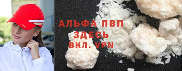 твердый Арсеньев