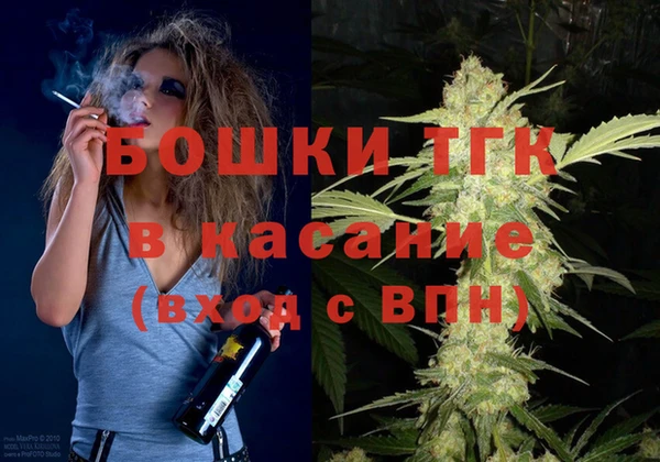 твердый Арсеньев
