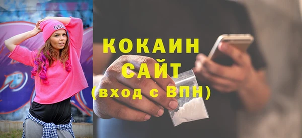 твердый Арсеньев