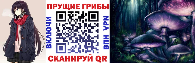 Псилоцибиновые грибы мухоморы  Осинники 